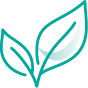 test-icon